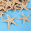 Small Starfish Star Sea Shell Beach  0.4 Inch-1.2 Inch 180 Pcs 9