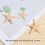 Small Starfish Star Sea Shell Beach  0.4 Inch-1.2 Inch 180 Pcs 7