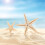 Small Starfish Star Sea Shell Beach  0.4 Inch-1.2 Inch 180 Pcs 6