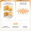 Toocki  6.0 USB Adapter USB Audio Receiver Transmitter Wireless USB Adapter for PC Dongle for Windows 11 10 8.1 1