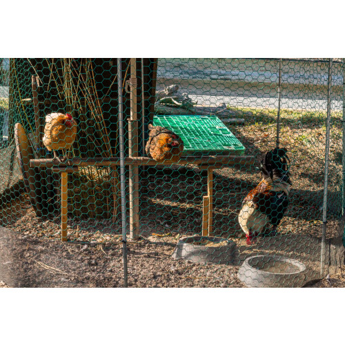20 m Hexagonal mesh Chicken fence Rabbit wire Rabbit lattice Green Hare wire 100 cm 2