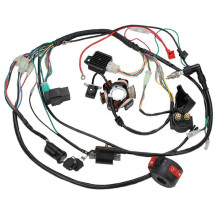 Motocykl ATV Quad Pit Bike Buggy Go Kart PełNa Kompletna WiąZka PrzewodóW Elektrycznych CDI STATOR 6 Cewka dla 50-125CC