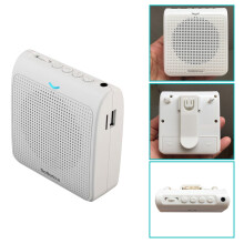 Rolton Portable Microphone Loud Speaker Voice Amplifier with USB TF Card FM Radio for Teacher Tour Guide(Black)