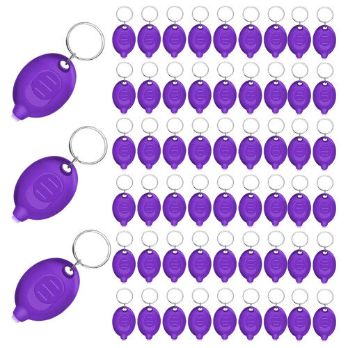 48pcs  UV Keychain Flashlight,Portable Black Light,12 Lumen Flashlight, Small Keychain Flashlight,Battery Included