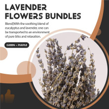 15 Stuks Gedroogde Geconserveerde Eucalyptus Stengels & Lavendel Bloemen Bundels voor Douche, 17 Inch Eucalyptus Bladeren Stengels Douche Plant