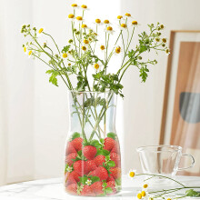 20 StüCke KüNstliche Erdbeere GefäLschte Obst Erdbeeren Fotografie StüTze Haus KüChen Schrank Party Verzierung, Klein