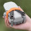 BRDRC Protective Prop Blades Strap Drone Propeller Holder Blade Fixed Guard Drone Accessories for   2/ 4