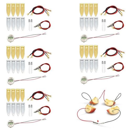 Fruit Battery Science Experiment Kit for Home Teaching Toy, Lemon Potato Battery Physics Teaching Experiment 12 Sets 1