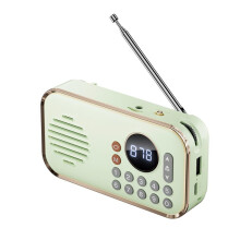 Draagbare FM-Radio Oplaadbare Kleine Draadloze -Luidspreker Surround Stereogeluid USB Vintage Radio'S Lichtgroen