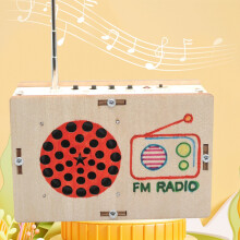 DIY FM Radio Model Wood Science Project Steam Model for Children Teens Birthday Gift