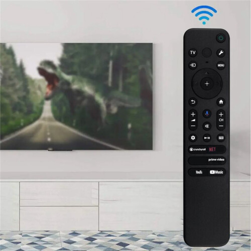 Télécommande Vocale RMF-TX811U pour Télécommande pour   TV 2
