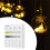 2.4G RF 4 Zone 86 Panel DM/CCT  LED Controller Dual Color Temperature Touch Controller for LED Light Control 5