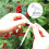 WIFI Intelligent Watering Device Double Pump Timed Automatic Drip Irrigation System Remote Control for 15 Pots 10