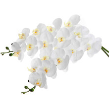 2Pcs 38inch Artificial Real Contact Orchids Flowers 9Heads Latex Phalaenopsis Stems for DIY Wedding Centerpieces,Kitchen