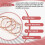 3 Sets Guitar Strings Replacement Steel String for Acoustic Guitar (1 Brass Set, 1 Copper Set and 1 Multicolor Set) 3