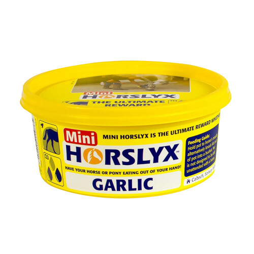 (12 Pack, Garlic) Horslyx Mini Licks