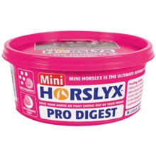 (12 Pack, Pro Digest) Horslyx Mini Licks