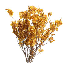 Dried Flower Bouquet Wedding Party Kitchen Plant Stem Bunch Dodonaea V