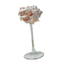 Conch Shell Champagne Glass Cup Gifts Champagne Cup Unique Goblet for
