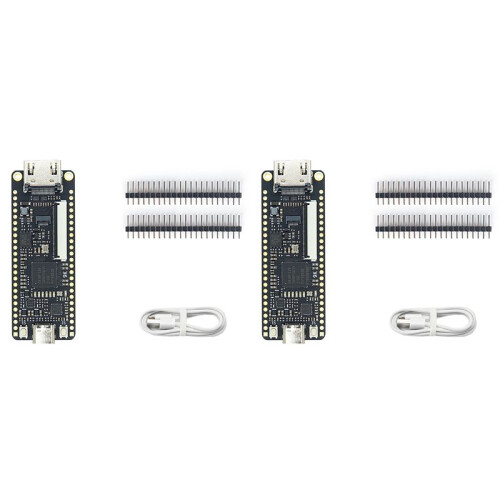 2X for Sipeed Tang  9K FPGA Development Board GOWIN GW1NR-9 RISC-V HD with Type C Cable