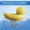 Yellow Duck Πλωτός Διανομέας Χλωρίου Πλωτός Διανομέας Χλωρίου/Βρωμίου για Πισίνα/Σπα 3