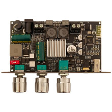 ZK-1001U med Boost Mono 100W -Förstärkarkort TWS-Utomhus DIY-Högtalare med Hög och Låg Ton TPA3116