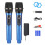 Wireless One-to-Two Home Microphone 6.35 Interface Professional Handheld Microphone for KTV Performance Stage 1