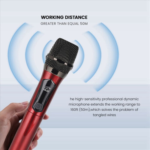 Wireless One-to-Two Home Microphone 6.35 Interface Professional Handheld Microphone for KTV Performance Stage Red 2