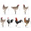 opvise Rooster Decor Ρεαλιστικό Ζωηρό Διακοσμητικό Άγαλμα Κήπου με Ακρυλικό Άγαλμα 7