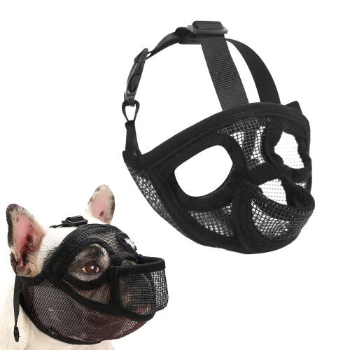 Ρύγχος σκύλου Bulldog, κοντό ρύγχος, ρύγχος με πλέγμα και σχέδιο γλώσσας έξω, ρύγχος