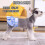 Επαναχρησιμοποιούμενες πάνες για σκύλους για θηλυκά – Θερμοκρασία, Ακράτεια, 2