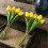 Conjunto de 10 tulipas de seda roxas de 33 cm (13 polegadas), ideais para decoração de casa/cozinha/casamento, Dia das Mães, Páscoa e presentes 4