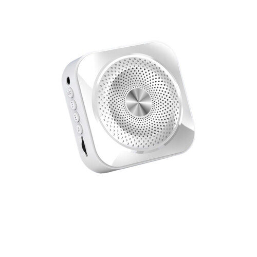 Portable loudspeaker with headset mic and USB charging