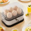 Egg Cooker Stainless Steel Plastic 1 Unit 6