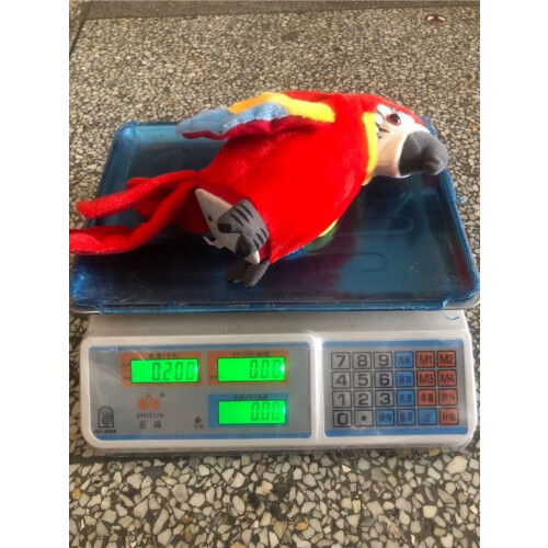 Talking Parrot Toy with Recording Function Interactive Realistic for Cuddling Kids Adults 2