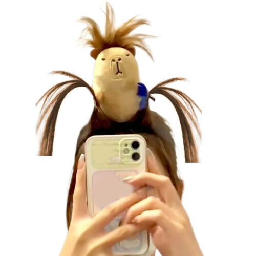 Faixa de cabelo Capivara, macia e confortável (1 peça)
