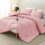 Pink Queen Comforter Set Breathable Quilted 3-Piece 1