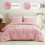 Pink Queen Comforter Set Breathable Quilted 3-Piece 2