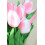 10pcs Pink Artificial Tulip Flowers, Real Touch, 34cm 4