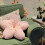 Cherry Blossom Plush Pillow 40cm 2