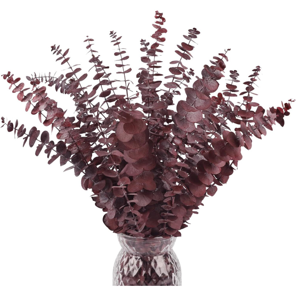 20Pcs Red Dried Eucalyptus Stems, 17" Natural Preserved Branches For Shower Hanging Â Relaxation Set, Compatible With Steam Showers 9557311764721