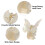 Vlinderhaarclips - Antislip haarclips met stevige grip, wit 3