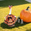 Halloween-kostume til verandagås til 63 cm gæs 5