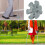 Folding Walking Cane with Adjustable Height and SelfStanding Tip for Travel 5
