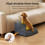 Skylos 2 Step Dog Ramp Pet Stairs for Small Dogs 6