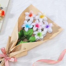 6 pinzas para el cabello con flores hawaianas – Pinzas de hibisco y plumeria para cabello grueso/fino, blancas y coloridas, para mujeres y niñas.