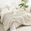 King Size Beige Comforter Set 3-Piece Lightweight Down 1