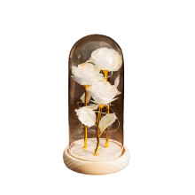Preserved Rose Night Light for Anniversaries, Birthdays,