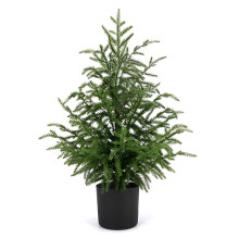 0,6 m konstgjord grön julgran i Norfolkfuru - 61 cm dekorativ kruka i äkta trä, topiary julgran i Norfolkfuru