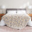 Πλούσια Κουβέρτα Peanuts Snoopy VelvetLoft, Δίδυμη 60"x90", Επίσημο Αδειοδοτημένο Προϊόν 2